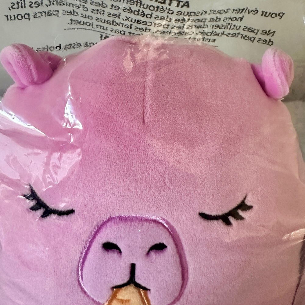 Squishmallow Enya Carrot Plush Easter Kellytoy Select Series Black Tag 8 in NWT - Picture 6 of 9